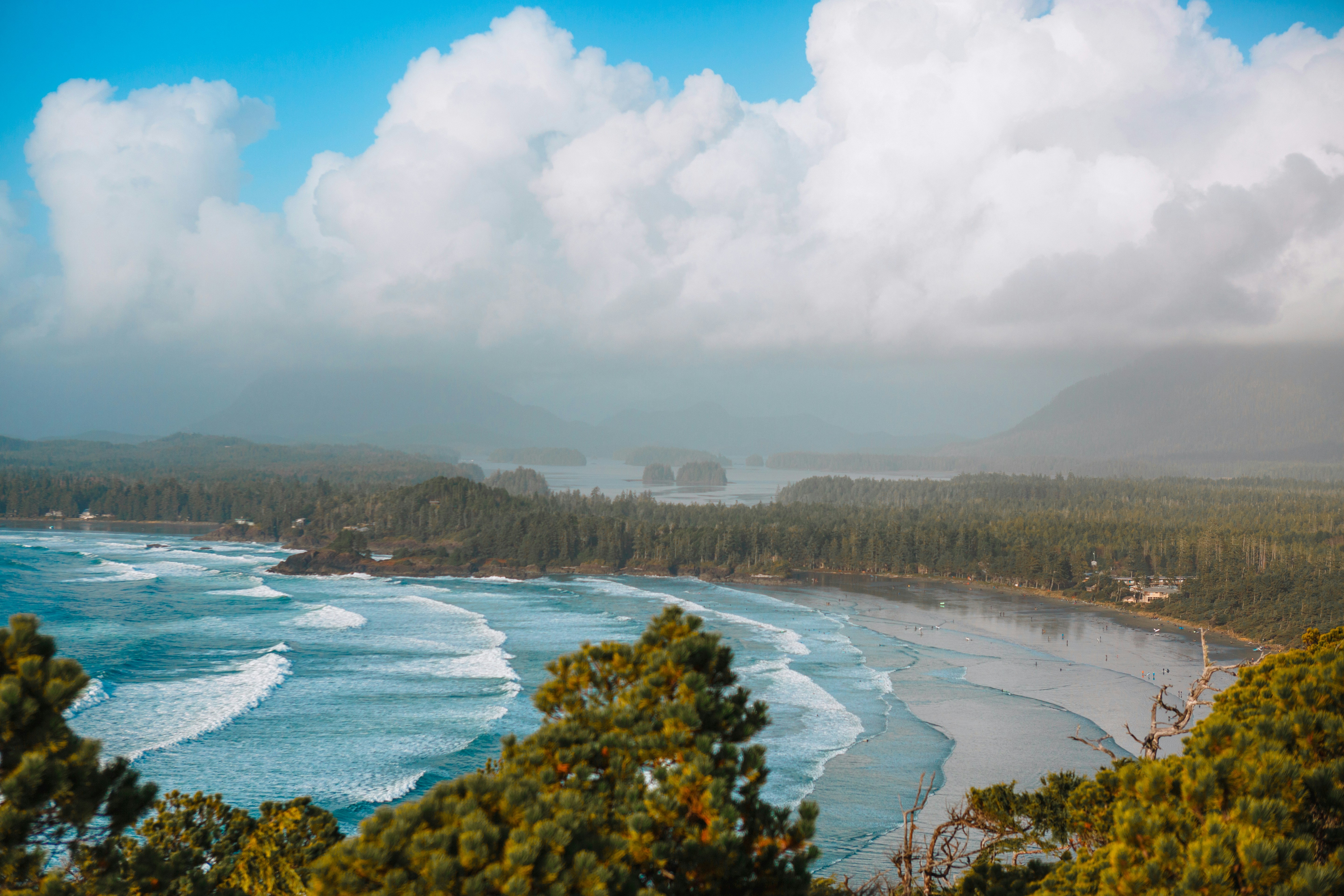 Tofino bay and coastline viewed from above the treeline