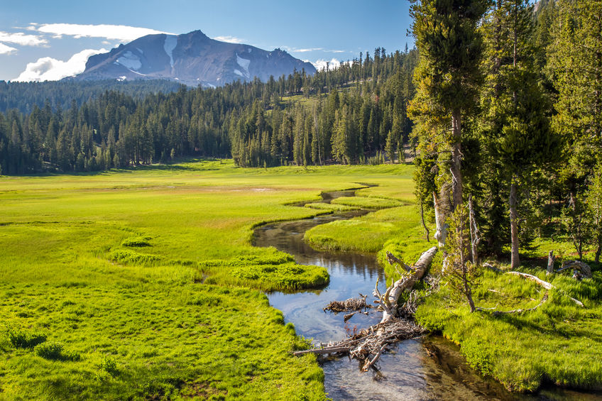 Lake Almanor