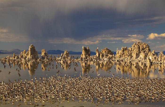 Mono Lake