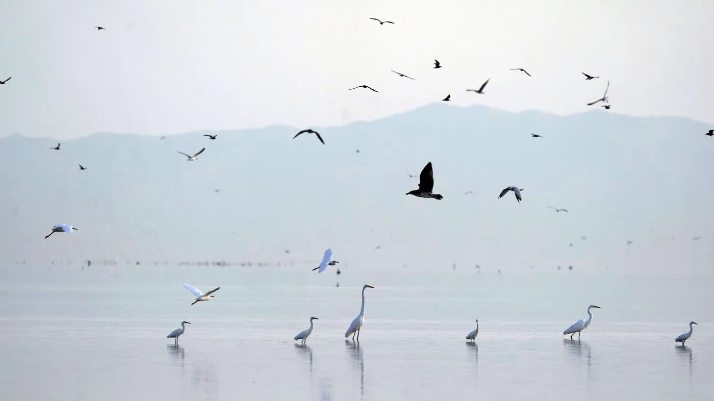 Salton Sea